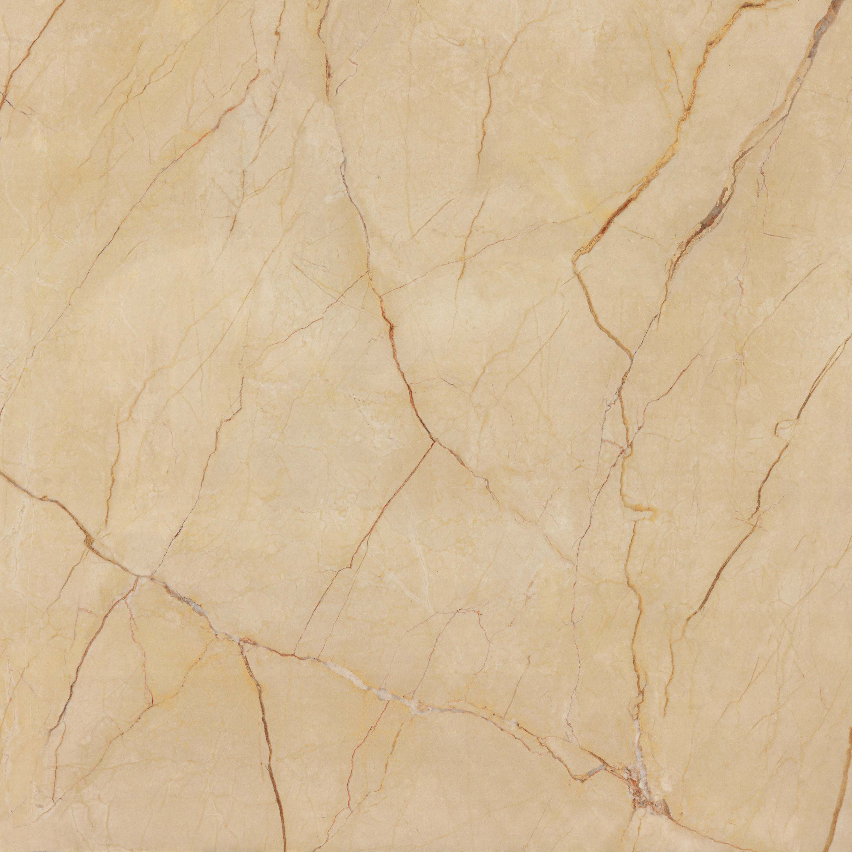 NAE0877521 索菲特金.jpg