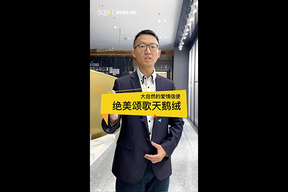 素巖天鵝絨系列