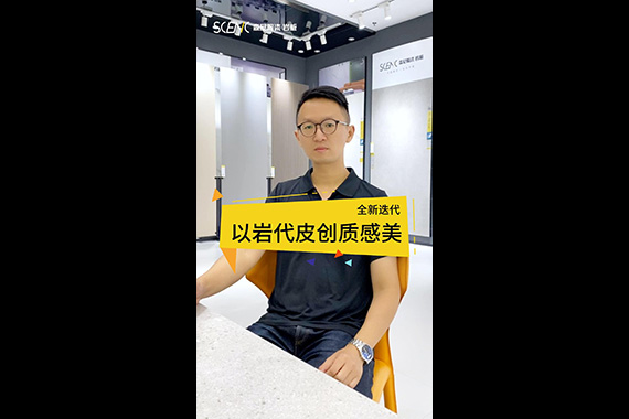 N+藝術巖板-皮紋